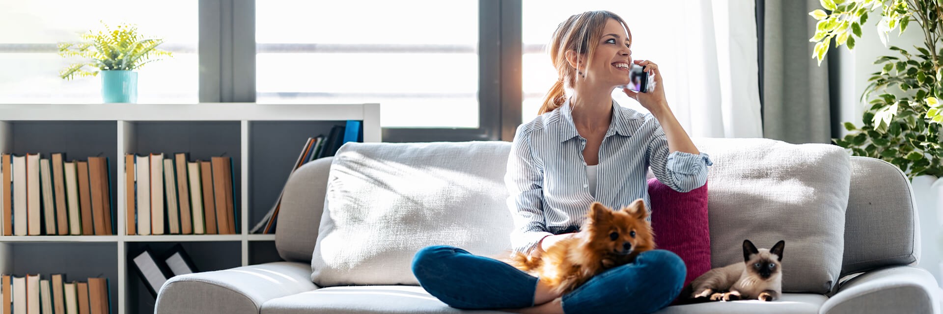 Encuentra los mejores productos nutricionales, de salud y de belleza para tus mascotas aquí