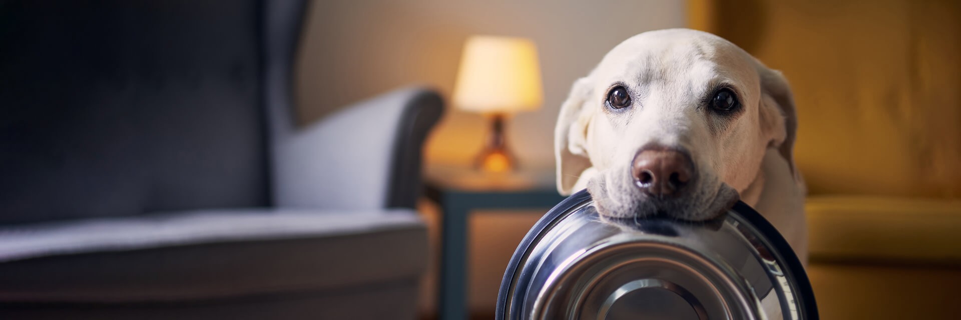 Fórmulas Deliciosas